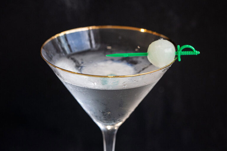 Gibson Cocktail