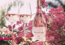 Whispering Angel Whispering Angel - Vino francese rosè - Aperitivo a Milano.info 2024