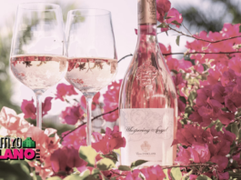 Whispering Angel - Vino francese rosè - Aperitivo a Milano.info 2024